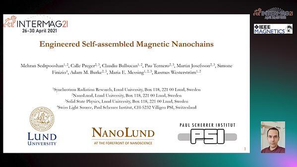  Engineered Self-assembled Magnetic Nanochains INVITED