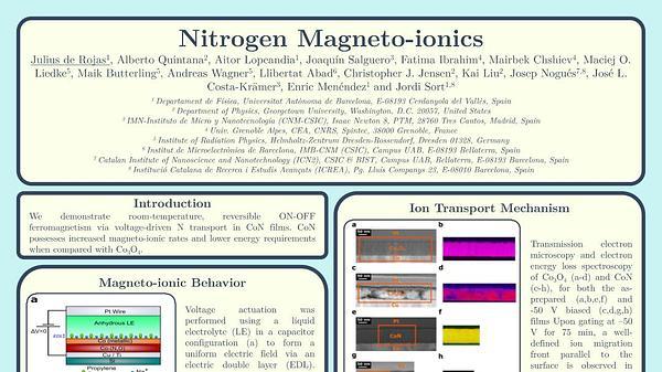 Nitrogen Magneto-ionics