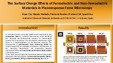 The Surface Charge Effects of Ferroelectric and Non-Ferroelectric Materials in Piezoresponse Force Microscopy