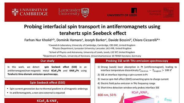 Probing Interfacial Spin Transport in Antiferromagnets using Terahertz Spin Seebeck Effect