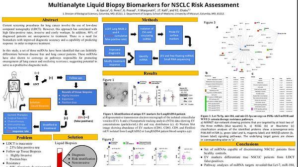Multianalyte Liquid Biopsy Biomarkers for NSCLC Risk Assessment