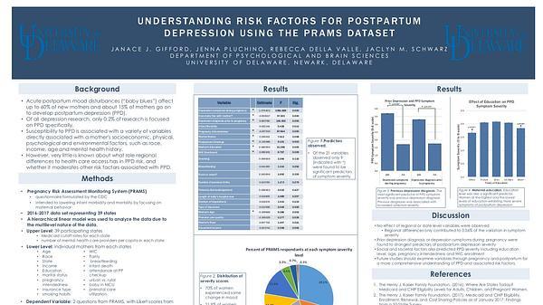 Understanding Risk Factors for Postpartum Depression using the PRAMS Dataset