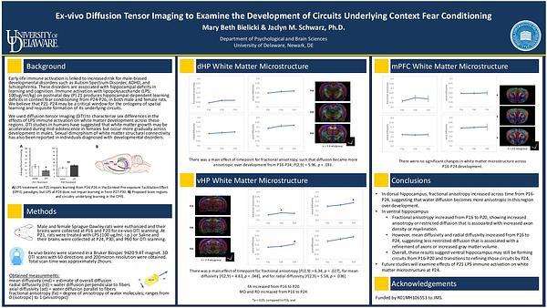 Ex-vivo Diffusion Tensor Imaging to Examine the Development of Circuits Underlying Context Fear Conditioning