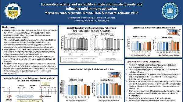 Locomotive activity and sociability in male and female juvenile rats following mild immune activation