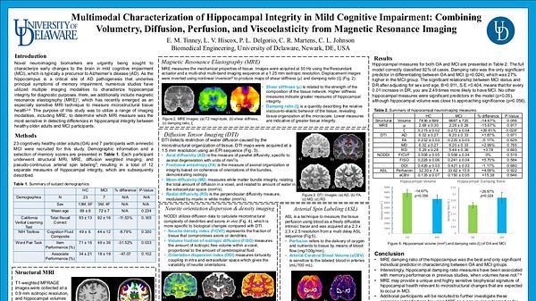 Multimodal Characterization of Hippocampal Integrity in Mild Cognitive Impairment: Combining Volumetry, Diffusion, Perfusion, and Viscoelasticity from Magnetic Resonance Imaging