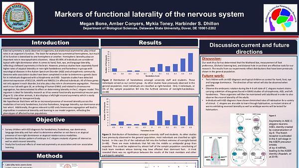 Markers of functional laterality of the nervous system