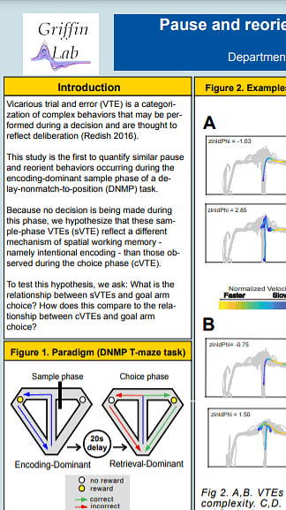 Pause and reorient behavior during encoding of a spatial working memory task