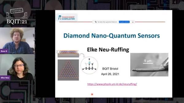 Diamond Nano-Quantum Sensors