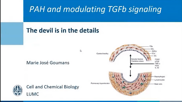 PAH and modulating TGFb signaling - The devil is in the details