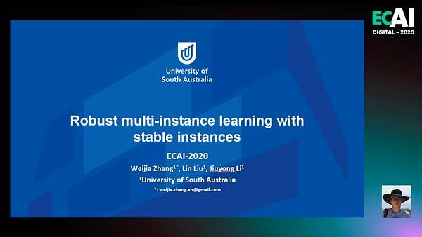 Robust Multi-Instance Learning with Stable Instances