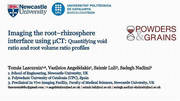 Imaging the root–rhizosphere interface using micro computed tomography: quantifying void ratio and root volume ratio profiles