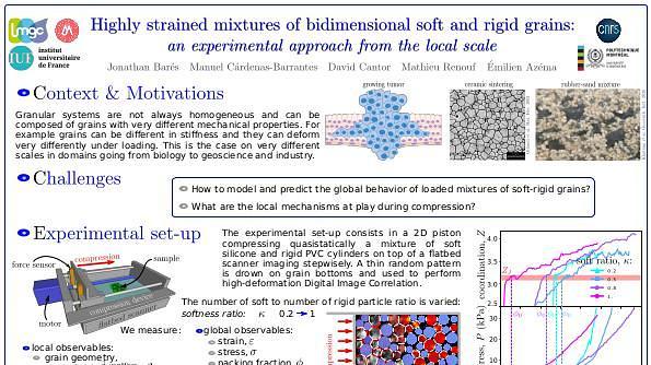 Highly strained mixtures of bidimensional soft and rigid grains: an experimental approach from the local scale