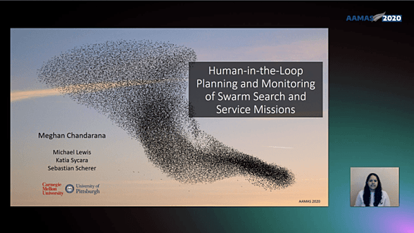Human-in-the-loop Planning and Monitoring of Swarm Search and Service Missions