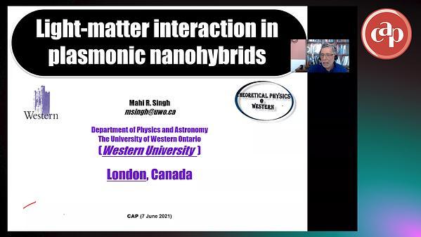 Light-matter Interaction in Plasmonic Nanohybrids