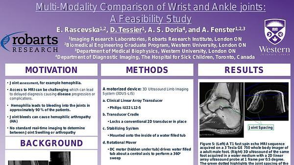 Multi-Modality Comparison of Wrist and Ankle joints: A Feasibility Study