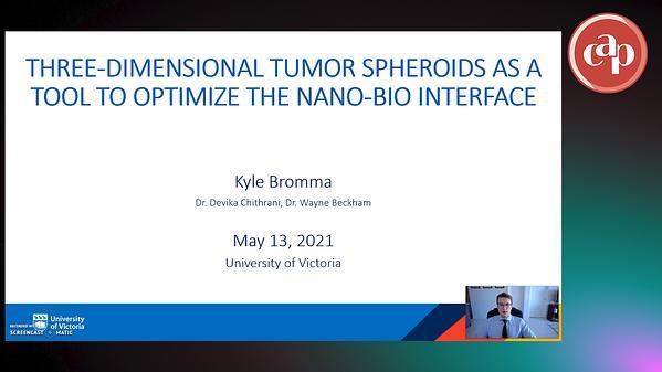 Three-dimensional tumor spheroids as a tool to optimize the nano-bio interface