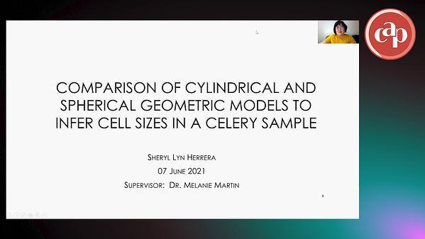 Comparison of Cylindrical and Spherical Geometric Models to Infer Cell Sizes in a Celery Sample