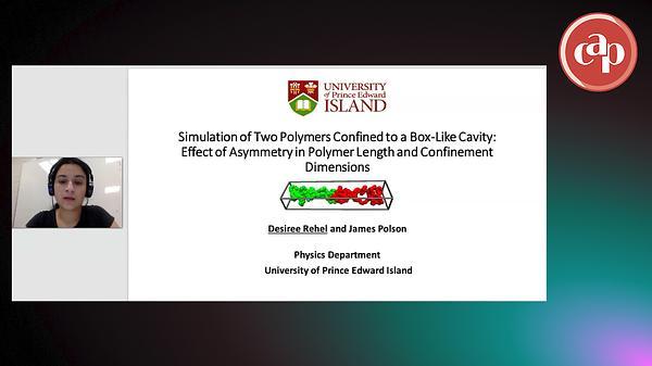 Simulation of Two Polymers Confined to a Box-Like Cavity: The Effect of Anisotropies in Polymer Length and Confinement Dimensions
