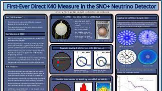 K40 Backgrounds in the SNO+ Neutrino Detector