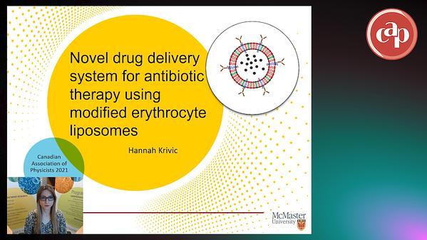 Novel drug delivery system for antibiotic therapy using modified erythrocyte liposomes