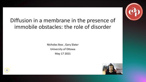 Diffusion in a membrane in the presence of immobile obstacles: the role of disorder