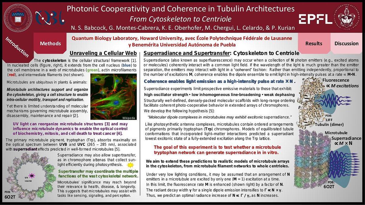 Lecture image placeholder