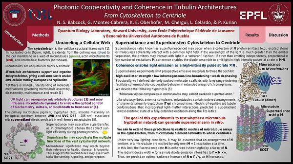 Photonic Cooperativity and Coherence in Tubulin Architectures