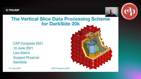 The Vertical Slice Data Processing Scheme for DarkSide