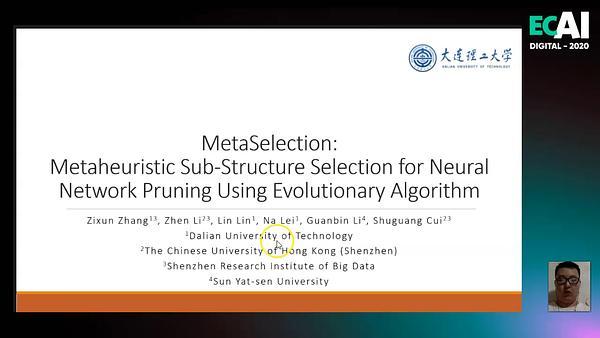 MetaSelection: Metaheuristic Sub-Structure Selection for Neural Network Pruning Using Evolutionary Algorithm
