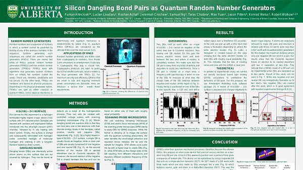A Study of Silicon Dangling Bond Pairs in Search of a True Random Number Generator