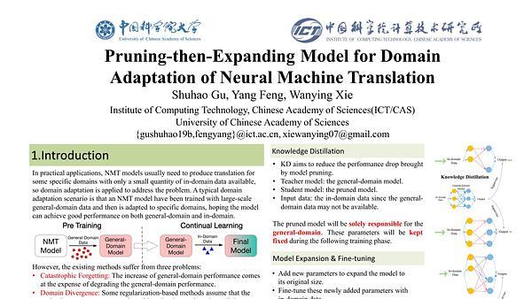 Pruning-then-Expanding Model for Domain Adaptation of Neural Machine Translation