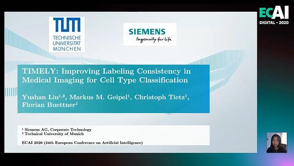 TIMELY: Improving Labeling Consistency in Medical Imaging for Cell Type Classification