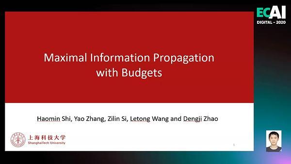 Maximal Information Propagation with Budgets