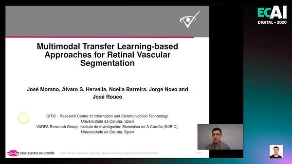 Multimodal Transfer Learning-based Approaches for Retinal Vascular Segmentation
