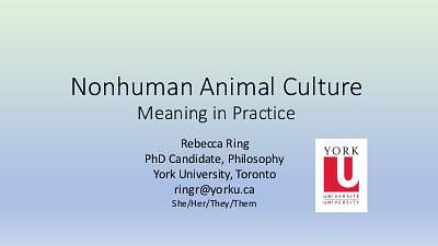 Nonhuman Animal Culture: Meaning in Practice