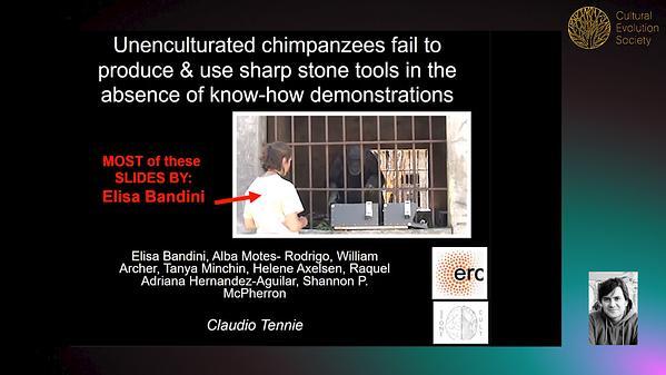 Unenculturated chimpanzees fail to produce and use sharp stone tools in the absence of know-how demonstrations