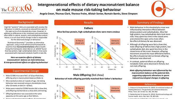 Intergenerational effects of dietary macronutrient balance on male mouse risk-taking behaviour