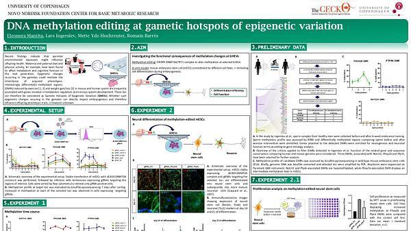 DNA methylation editing at gametic hotspots of epigenetic variation