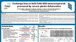 Exchange bias in bulk FeNi-NiO nanocompounds processed by severe plastic deformation