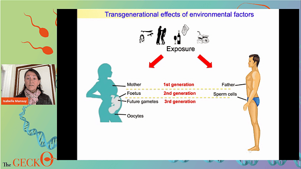 Epigenetic Inheritance S1