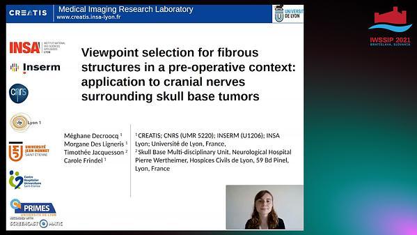 Viewpoint selection for fibrous structures in a pre-operative context: application to cranial nerves surrounding skull base tumors