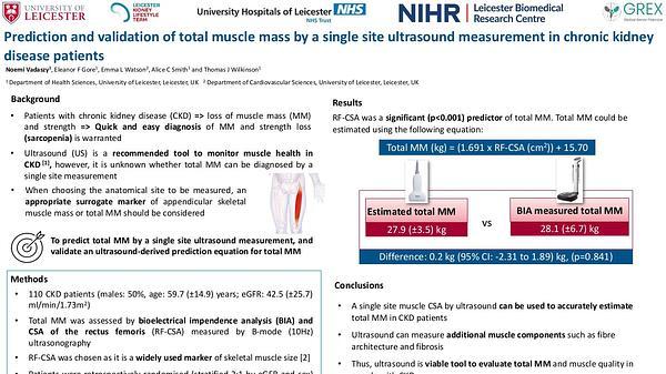 Prediction and validation of total muscle mass by a single site ultrasound measurement in chronic kidney disease patients 
