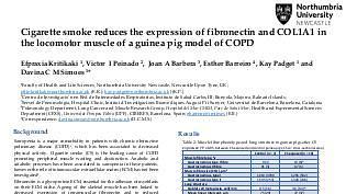 Cigarette smoke decreases the expression of fibronectin and COL1A1 in the locomotor muscle of a guinea pig model of COPD