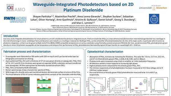 Waveguide-Integrated Photodetectors based on 2D Platinum Diselenide