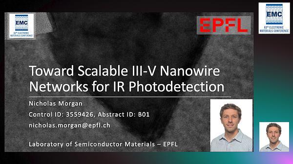Scalable III-V Nanowire Networks for IR Photodetection