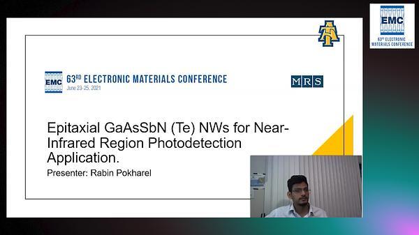 Epitaxial GaAsSbN (Te) NWs for Near-Infrared Region Photodetection Application
