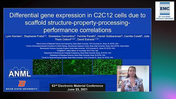Differential Gene Expression in C2C12 Cells Due to Scaffold Structure-Property-Processing-Performance Correlations