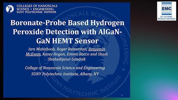 AlGaN/GaN HEMT-Based Detection of Reactive Oxygen Species Molecule H2O2