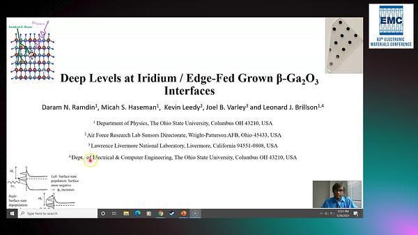 Deep Levels and Self-Trapped Excitons at Iridium/Edge-Fed Grown β-Ga2O3 Interfaces