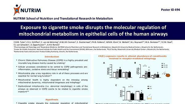 Exposure to cigarette smoke disrupts the molecular regulation of mitochondrial metabolism in epithelial cells of the human airways